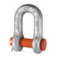 POUND PIN CHAIN SHACKLES RIGGING G-215